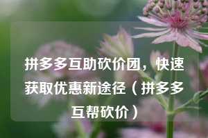 拼多多互助砍价团，快速获取优惠新途径（拼多多互帮砍价）  第1张