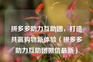 拼多多助力互助团，打造共赢购物新体验（拼多多助力互助团微信最新）  第1张