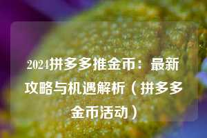 2024拼多多推金币：最新攻略与机遇解析（拼多多金币活动）  第1张