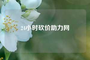 24小时砍价助力网  拼多多助力 拼多多助力网站 拼多多刷助力网站 拼多多助力网站在线刷 拼多多助力平台 第1张